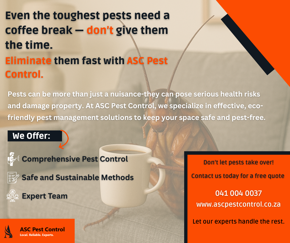 Our pest control services